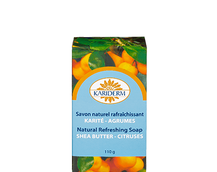 Natural Soap - Citrus Cheap