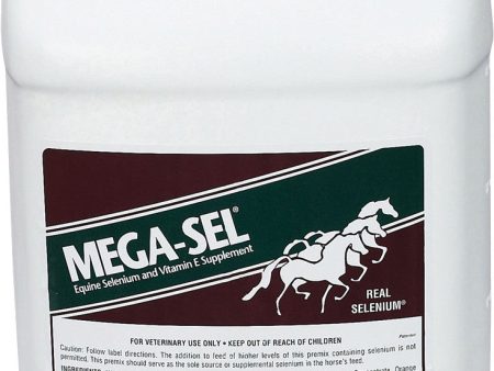 Spectra Animal Health Div - Mega-sel Liquid Formula For Horses For Cheap