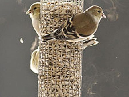 Droll Yankees Inc - New Generation Peanut Feeder Supply