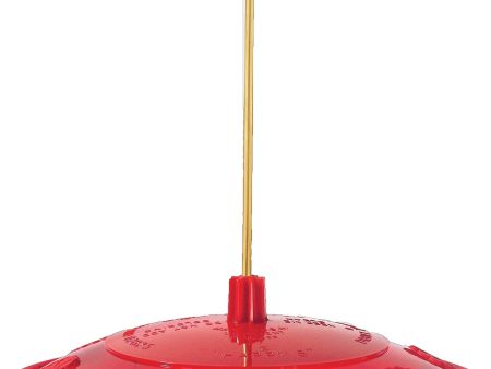 Droll Yankees Inc - Happy Eight Hummingbird Feeder Cheap