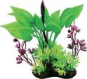 Elive Llc. - Natural Elements Arum Marsilea Combo Plant For Cheap