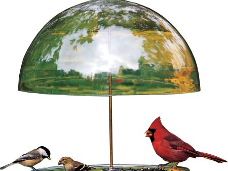 Droll Yankees Inc - Dorothy s Cardinal Feeder Hot on Sale